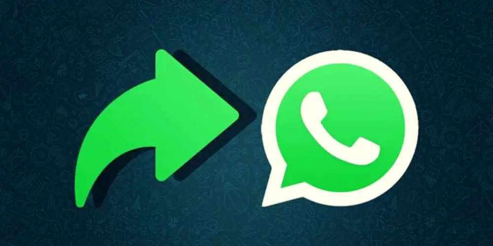 Reenvía bilder på WhatsApp bevaring av originale tekster